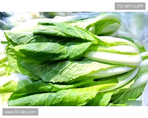 全面解析白菜大全网：美味食谱与养生知识一网打尽